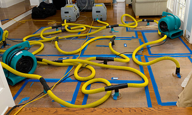 Professional Sewage Cleanup technician working in Robbinston, ME